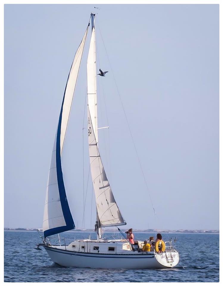 hunter 54 sailboat review